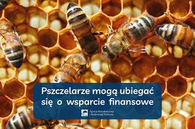 Wsparcie finansowe dla pszczelarzy